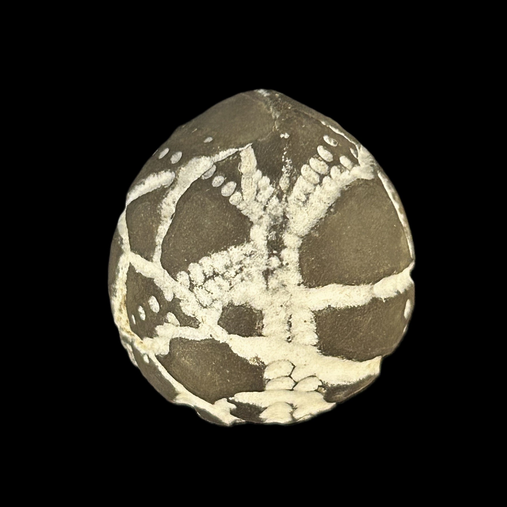'Falsk mutant' med umiddelbart kun fire porerækker 1 af 2