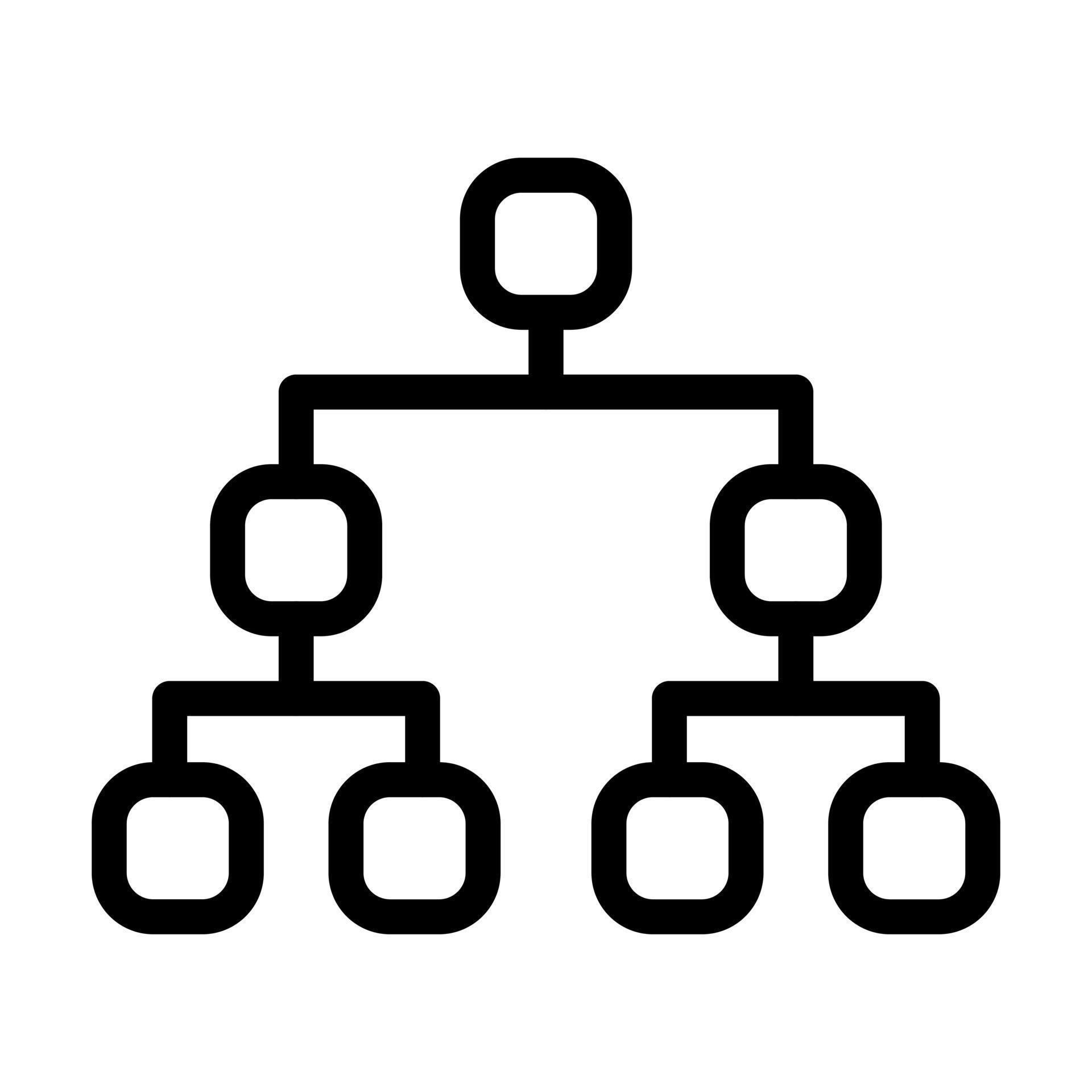 Taxonomi